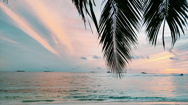 Les défenseurs et le fair-play